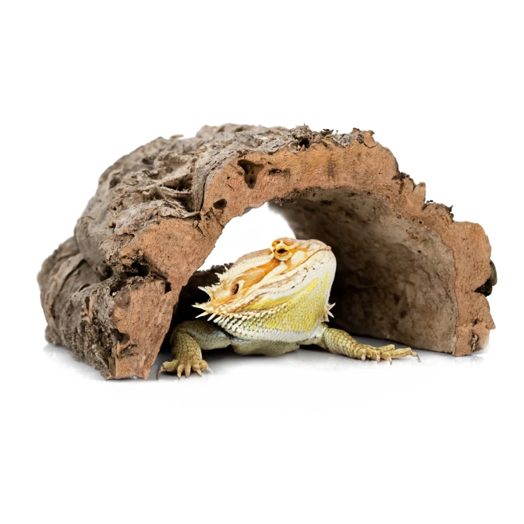 Bez nazwy-6.png