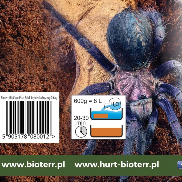 fef750b0db0d7cc57ab957d549754e6d