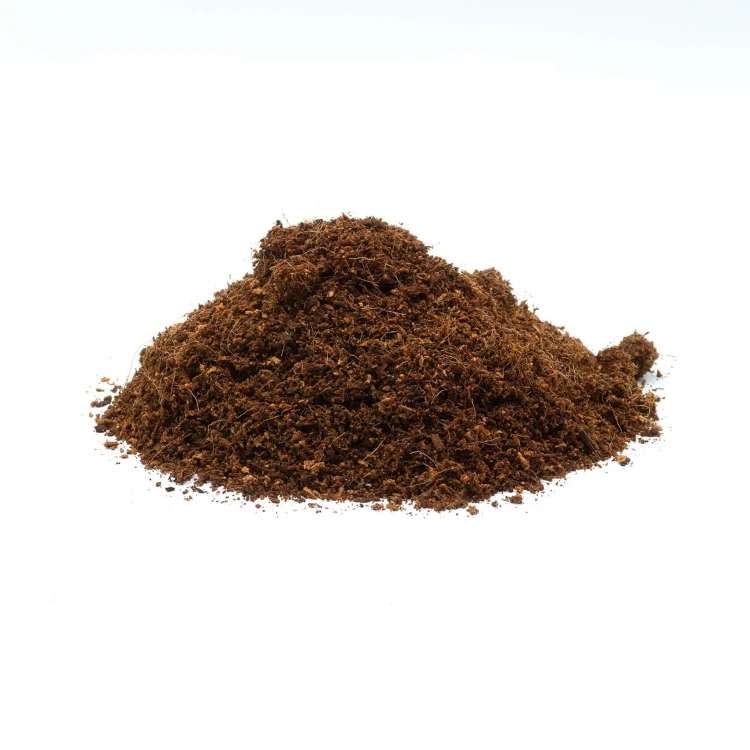 ca5dc6ee6d38038e87af9b2256d9c4bc