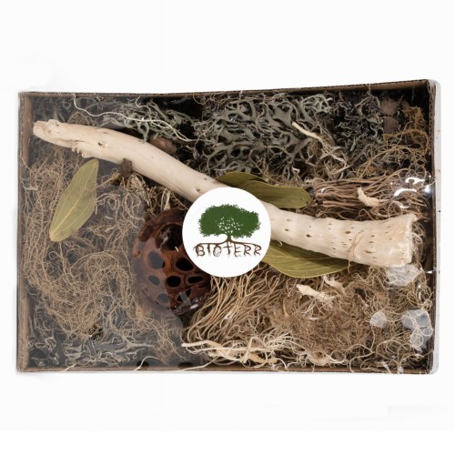 a4adc928961aed5325e38962764bc9dc