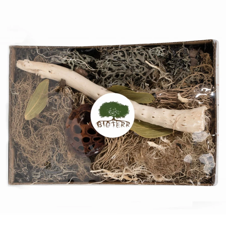 a4adc928961aed5325e38962764bc9dc