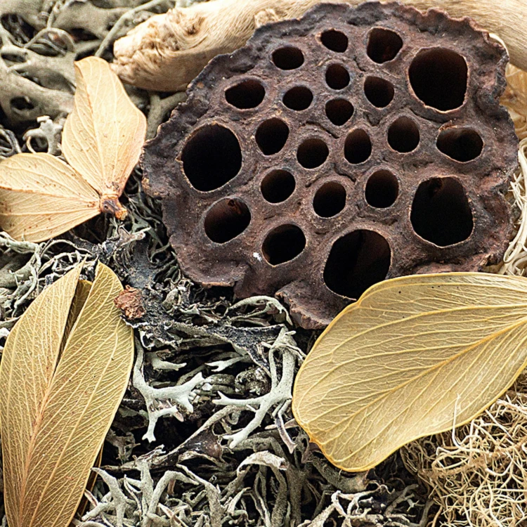 f2fe2d69e976f836844544b42f149a10