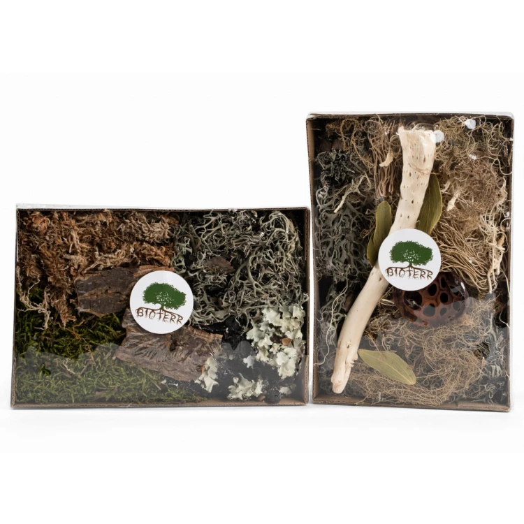 d6ba21272ffbc1684a69581b07be7ef6