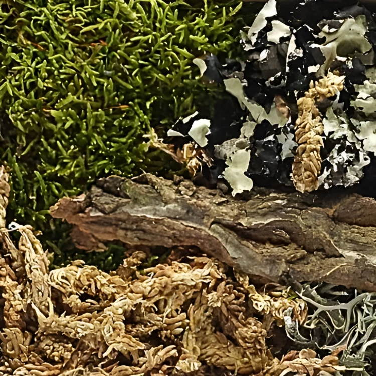 dd155e9e6e5de4f5d2dac92cdb34e8f4