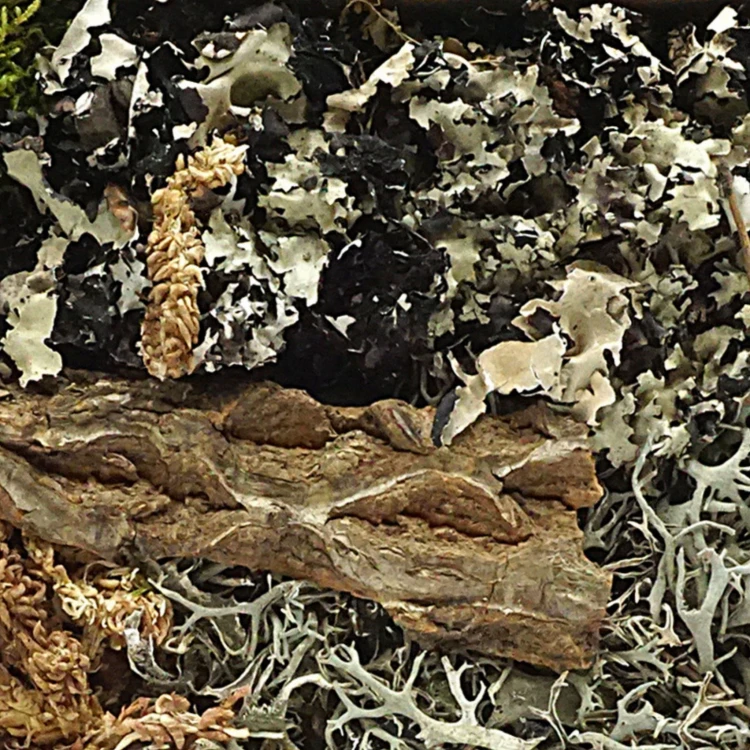 c4bd47d5b89bd1847a815817112a8ce4