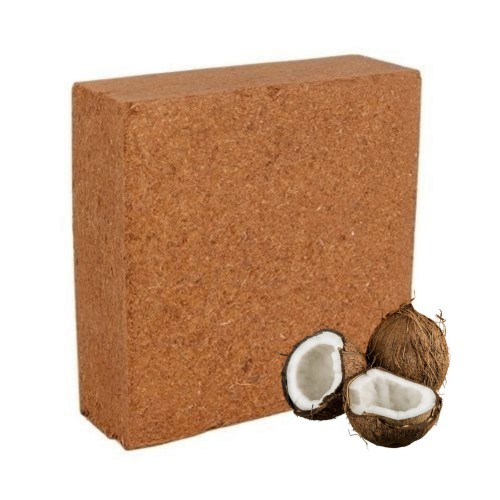 4ab36b7e74e87f0cf66074bee2bb9e0d