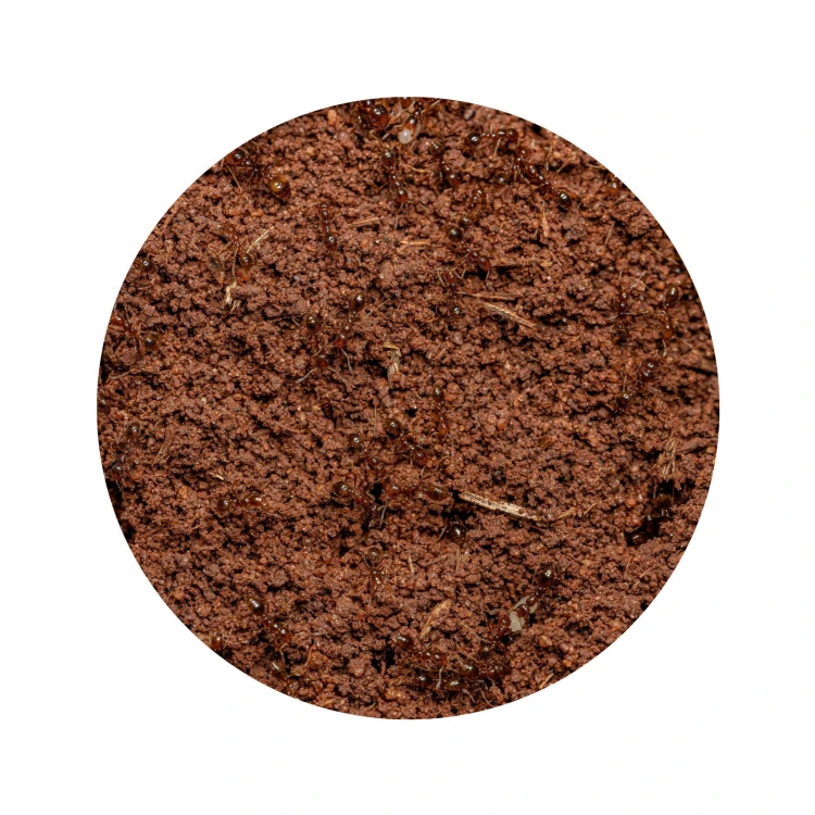 5d5b897125b7d61245cb2cc460ae523e