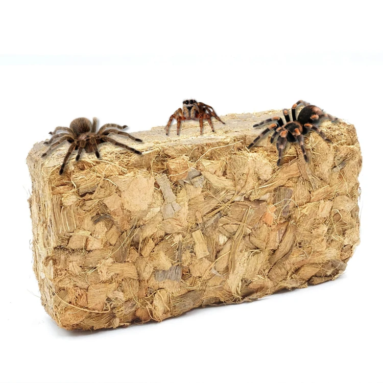 f24e98fac8133c7fef9eb50216c92fea