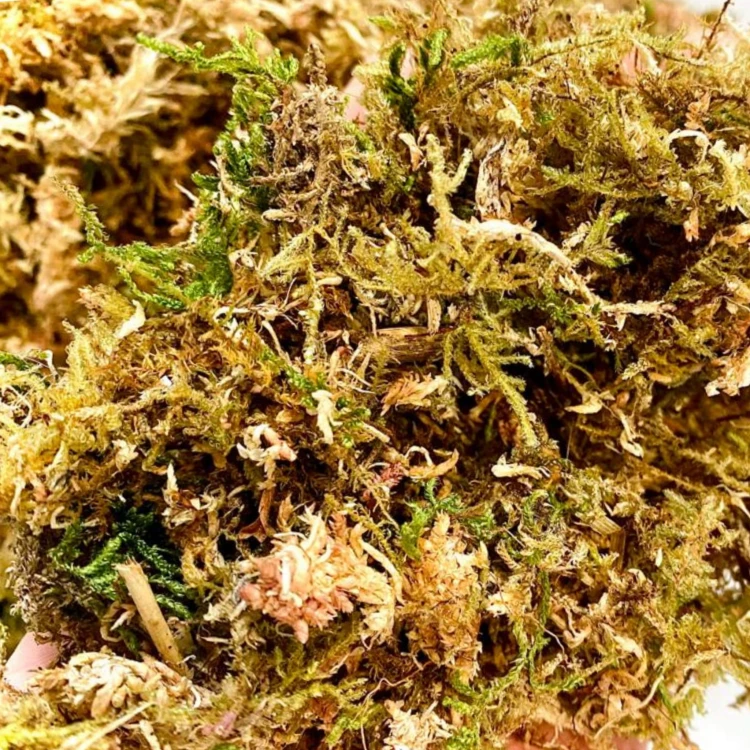 0d5ea01658a540323190dedbda3c54fa