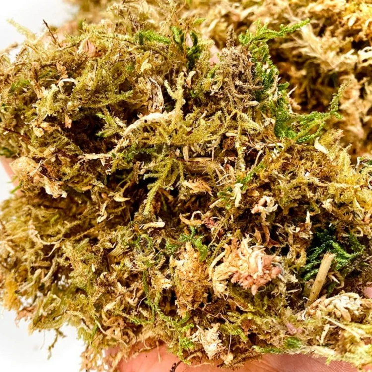 406f896d8d7af4d59fc4f61d7f641ef3