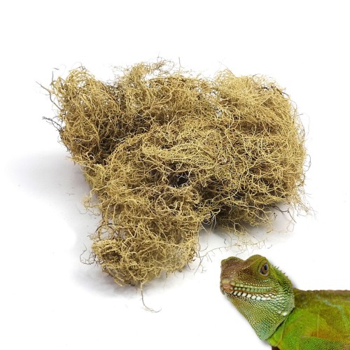 8aab47e32d9997ef8c39a89829e85c75