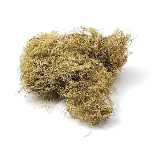 76e359974fc2f4a73c6d14c7dc0d9212