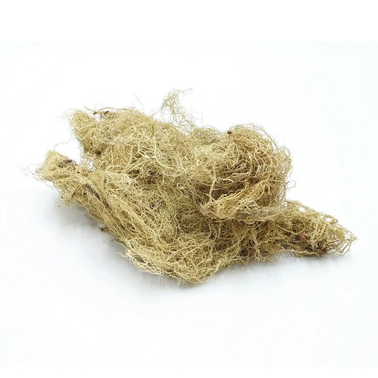 ee3ea3535c1d9f5c4c8ce5956aa635e2