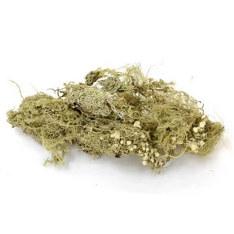 b496a6ef5dd7b4ed475042f410d2f16b