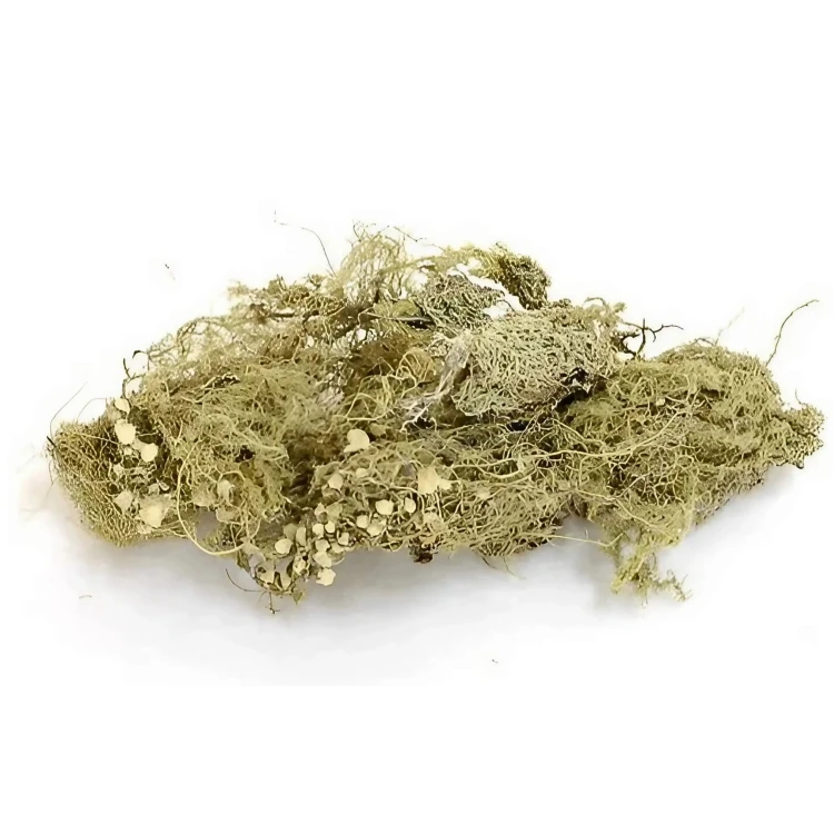 6ee39f42765debd19bdb76b13677f42b