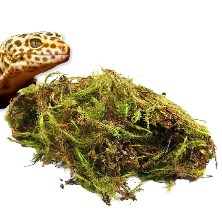 d39124a558080d9545d201d53e5bc8d6