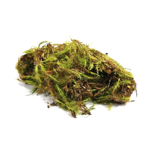 6a3a8704a932036afc15ec5ed3a82d7f