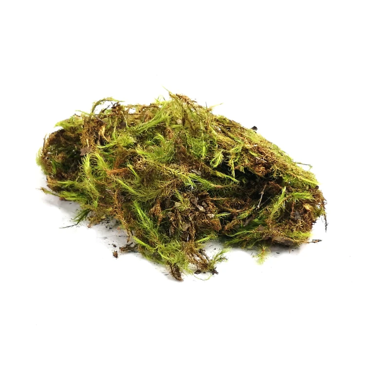 6a3a8704a932036afc15ec5ed3a82d7f