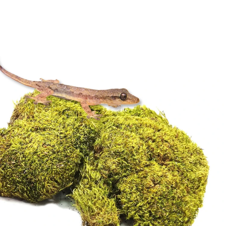 cb962c2e7c84d6540ccb76612f1b80c9