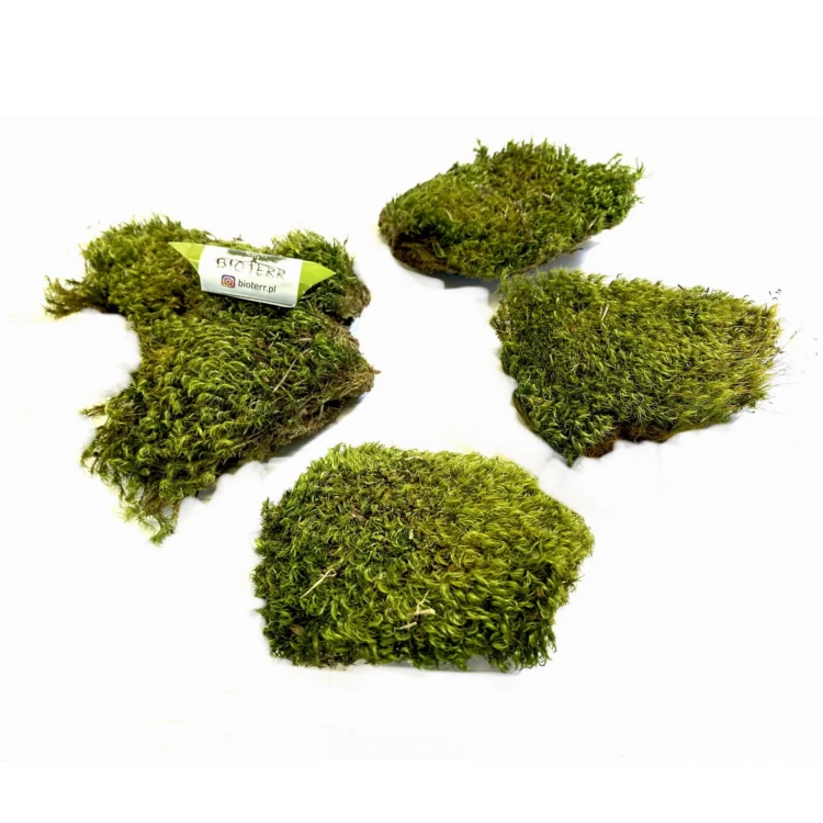 db59cbf55af2f3692e95008558242849