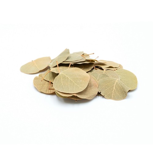 d78943d2cca53a21dfee89a5b802e022