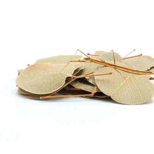 93a7a0d8a21e1632d4efc20beb425dd3