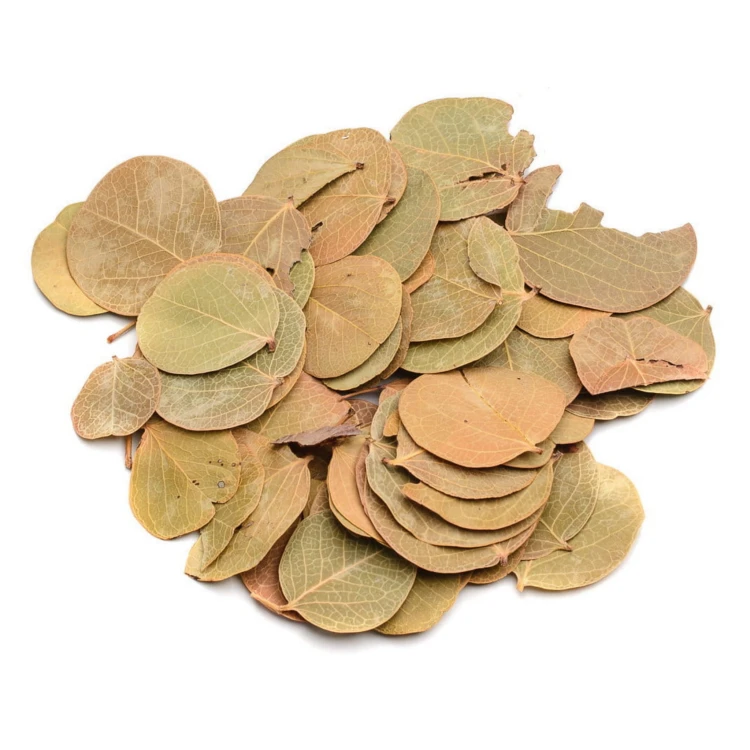 6e28587ba0f30d31c752a8eab5e6e974