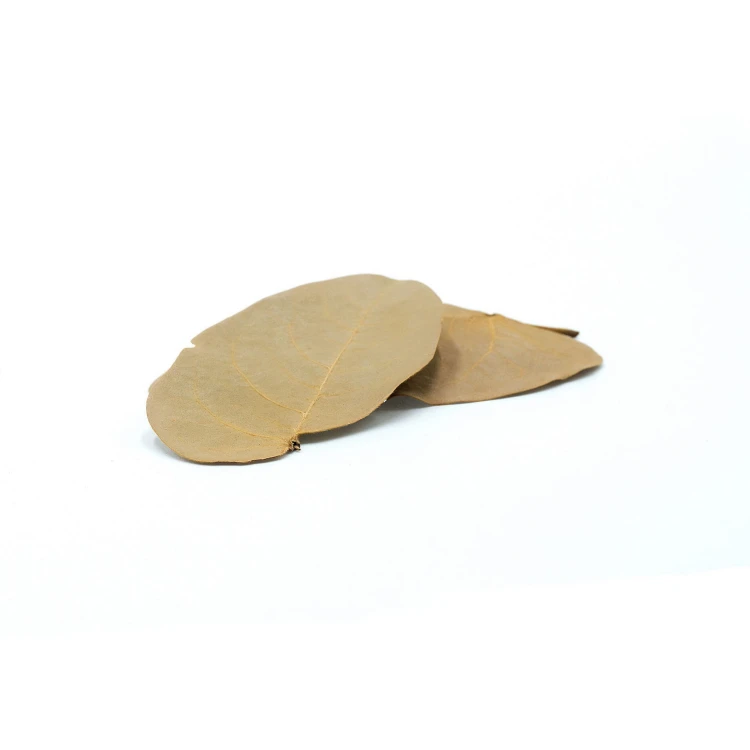 8dff79f9c7477f97c1a6048c51afa129