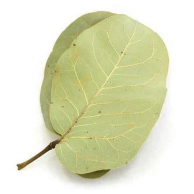 1a5a643a86f6bfb90f23245f64dd14ff