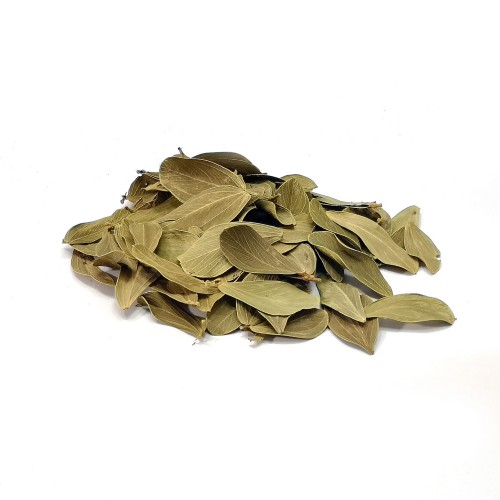 85bd000d451b997abc5d7bc5972e3c25