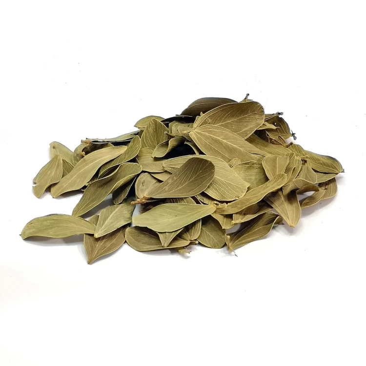 803f3bf3cd6cafa0fbcdbafbbf80f550