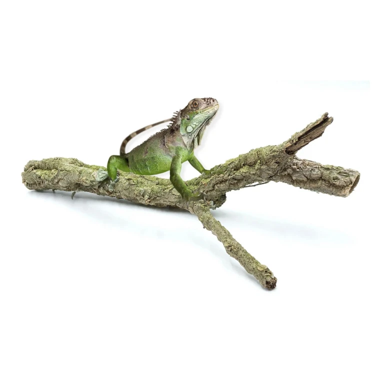 7e1a5f6ea576e71fd34121c0dc60896c