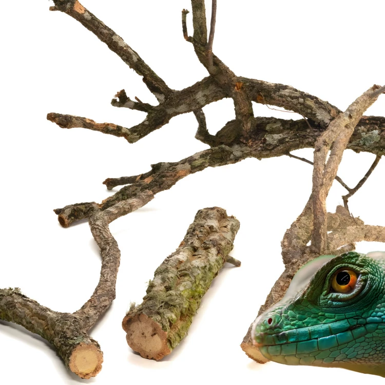 4b944342321baf9158d74d964cfb59b3