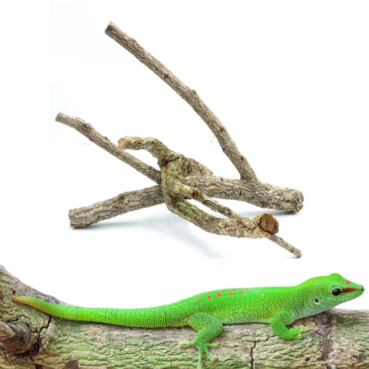 bd29a072eb76e837ce1fb5d6fe0f38e3