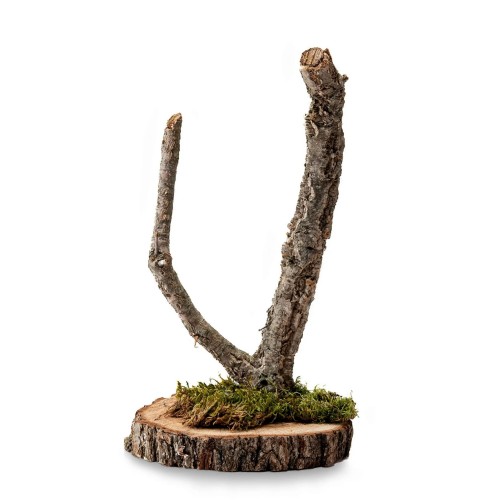 a3a60dc603e52f7167d6ca0c27ec24f1