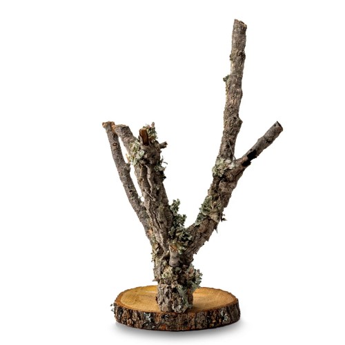 d23da20ef54c39959187946596d8cf8c