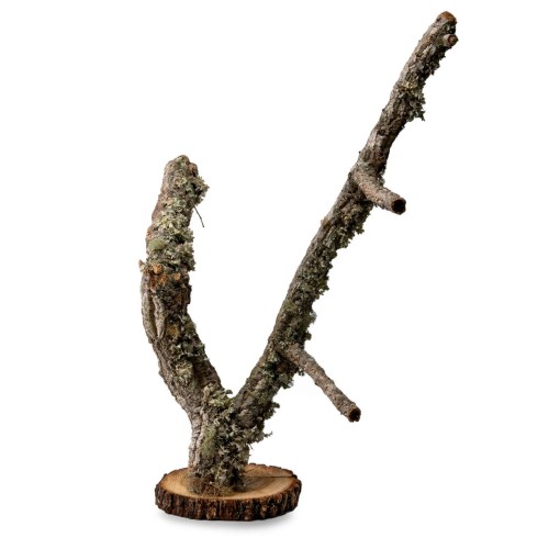 09fd5f48e627955568f413d3991b1d4e