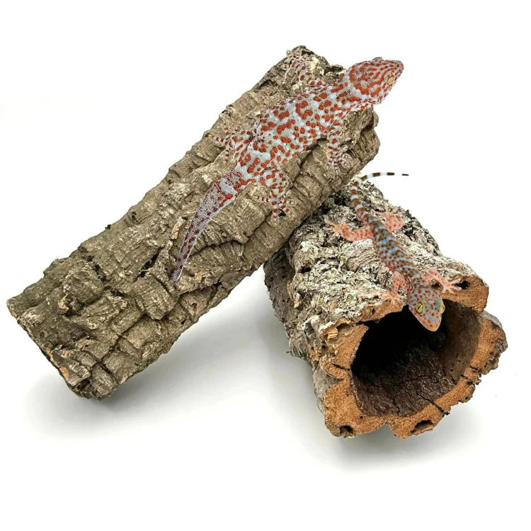 bd3b9b08aa7b66faa238ebd6a8fb7286