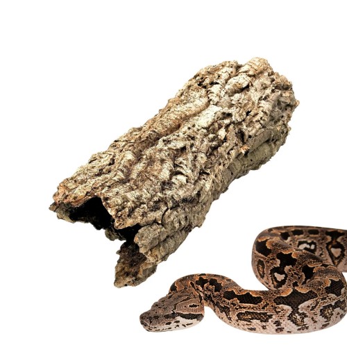 99a5e6fa94950233579e04be52a30f30