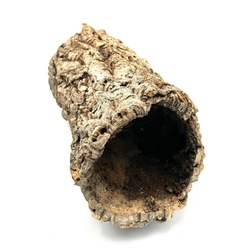 085fc8cc8a04989994f0102d874523b4