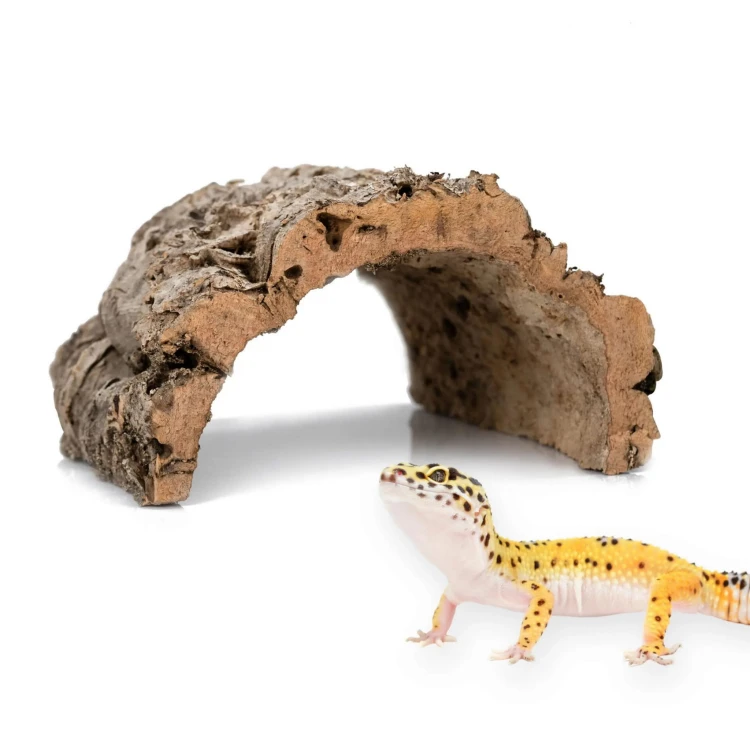 123e22cce1cf5ffd746d6658001ccd76