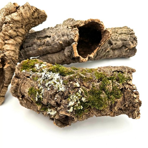 bb4ec6c359c26d7e0e5e9918767f22cf