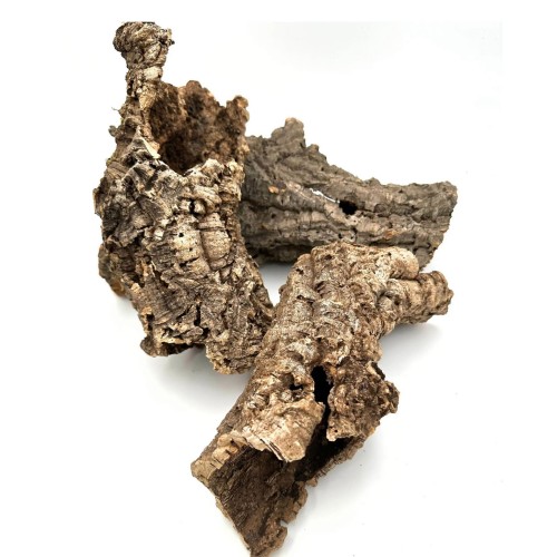 98a6dcffb336aac4720ecb7afd4fc521