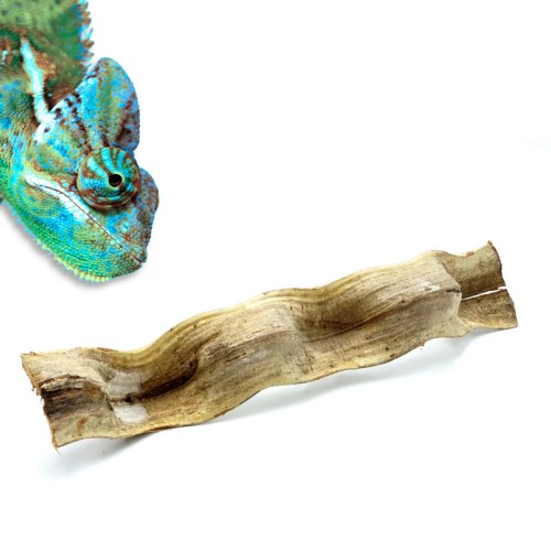 0498c4d02f4d01fa3479a45dccb8ab5c