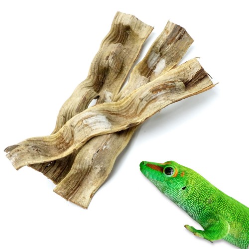 6563ed156800a16c833ce0dc9d221b8f