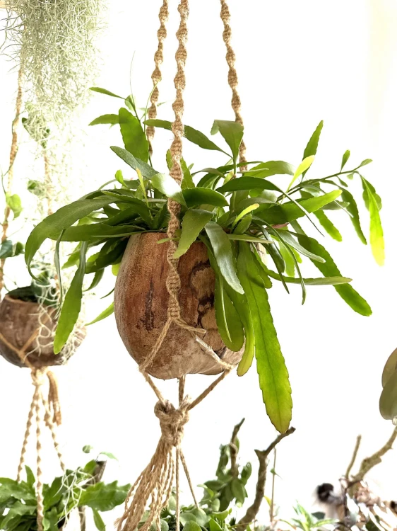 3e40f3c54d48254060ff086f88e444b5