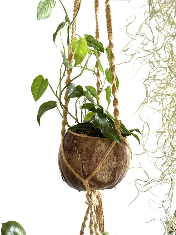 79df312b478b3bc8639c5652ca08183c