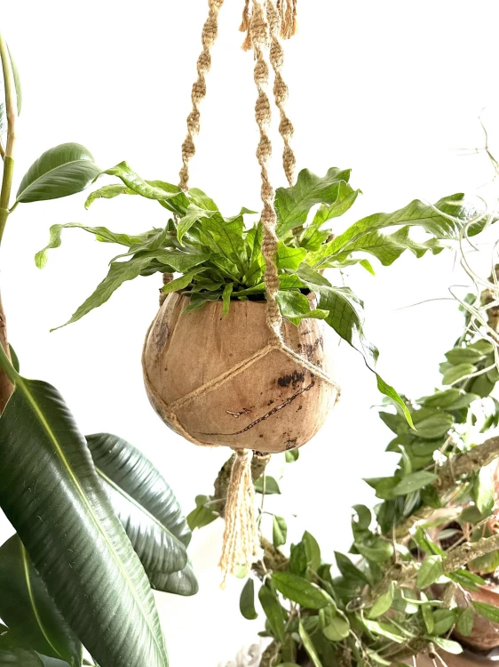 7b5d06863140196840283b2d405e7277