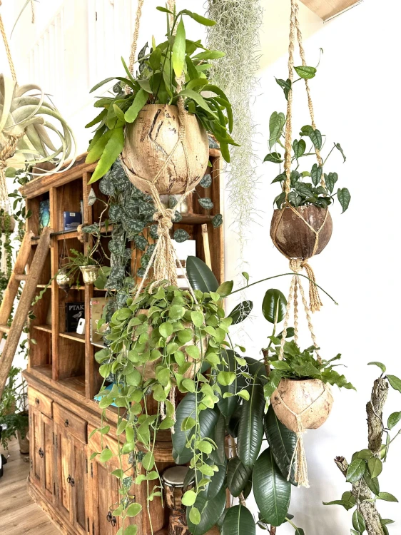 a5fbc82b0530dd4998aa9ca0d7a35c3f