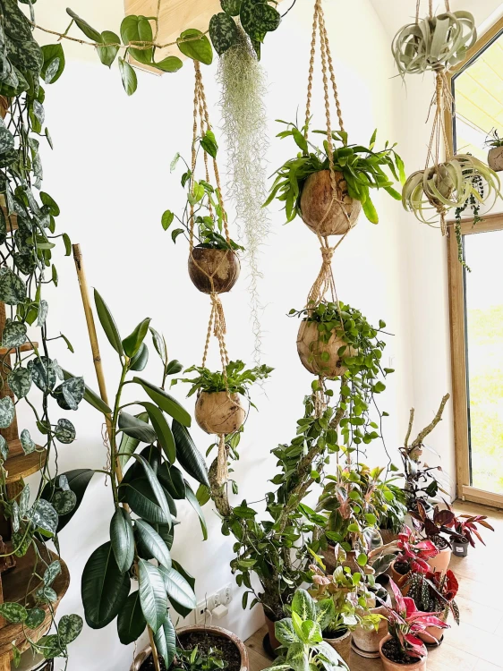 691e7edde3536ad98d4b6608ecf6d5e3